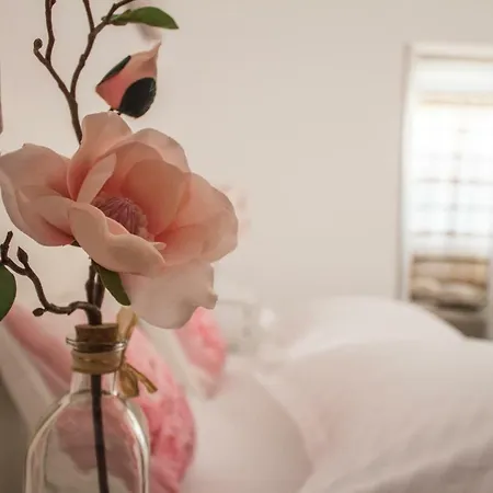 Apartament Dujmović *